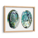 Conchas De Abulón I - Naomi McCavitt | Cuadro decorativo de Canvas Lab