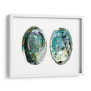 Conchas De Abulón I - Naomi McCavitt | Cuadro decorativo de Canvas Lab