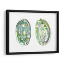 Conchas De Abulón Ii - Naomi McCavitt | Cuadro decorativo de Canvas Lab