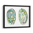 Conchas De Abulón Ii - Naomi McCavitt | Cuadro decorativo de Canvas Lab