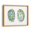 Conchas De Abulón Ii - Naomi McCavitt | Cuadro decorativo de Canvas Lab