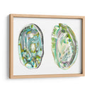 Conchas De Abulón Ii - Naomi McCavitt | Cuadro decorativo de Canvas Lab