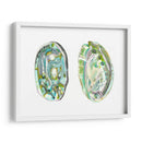 Conchas De Abulón Ii - Naomi McCavitt | Cuadro decorativo de Canvas Lab