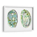 Conchas De Abulón Ii - Naomi McCavitt | Cuadro decorativo de Canvas Lab