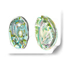 Conchas De Abulón Ii - Naomi McCavitt | Cuadro decorativo de Canvas Lab