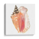 Souvenirs De La Orilla Del Mar - Naomi McCavitt | Cuadro decorativo de Canvas Lab