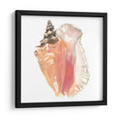 Souvenirs De La Orilla Del Mar - Naomi McCavitt | Cuadro decorativo de Canvas Lab