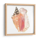 Souvenirs De La Orilla Del Mar - Naomi McCavitt | Cuadro decorativo de Canvas Lab