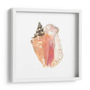 Souvenirs De La Orilla Del Mar - Naomi McCavitt | Cuadro decorativo de Canvas Lab