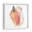 Souvenirs De La Orilla Del Mar - Naomi McCavitt | Cuadro decorativo de Canvas Lab