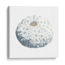 Souvenirs Marinas Ii - Naomi McCavitt | Cuadro decorativo de Canvas Lab