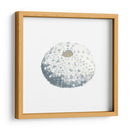 Souvenirs Marinas Ii - Naomi McCavitt | Cuadro decorativo de Canvas Lab