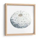 Souvenirs Marinas Ii - Naomi McCavitt | Cuadro decorativo de Canvas Lab