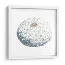 Souvenirs Marinas Ii - Naomi McCavitt | Cuadro decorativo de Canvas Lab