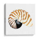 Souvenirs Del Mar Iii - Naomi McCavitt | Cuadro decorativo de Canvas Lab