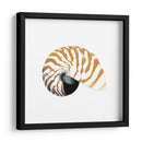 Souvenirs Del Mar Iii - Naomi McCavitt | Cuadro decorativo de Canvas Lab