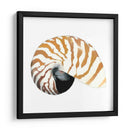 Souvenirs Del Mar Iii - Naomi McCavitt | Cuadro decorativo de Canvas Lab