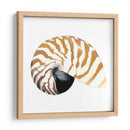 Souvenirs Del Mar Iii - Naomi McCavitt | Cuadro decorativo de Canvas Lab