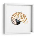 Souvenirs Del Mar Iii - Naomi McCavitt | Cuadro decorativo de Canvas Lab