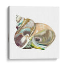 Souvenirs A La Costa Iv - Naomi McCavitt | Cuadro decorativo de Canvas Lab