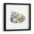 Souvenirs A La Costa Iv - Naomi McCavitt | Cuadro decorativo de Canvas Lab