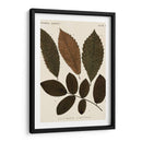 Hojas Otoñales I - Vision Studio | Cuadro decorativo de Canvas Lab