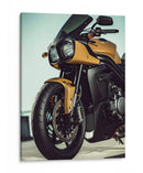 Triumph de Oro Mate - Sae Art | Cuadro decorativo de Canvas Lab