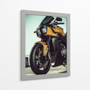 Triumph de Oro Mate - Sae Art | Cuadro decorativo de Canvas Lab