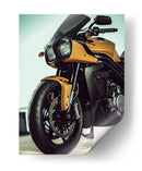 Triumph de Oro Mate - Sae Art | Cuadro decorativo de Canvas Lab
