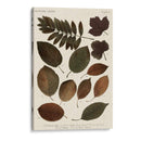 Hojas Otoñales Ii - Vision Studio | Cuadro decorativo de Canvas Lab