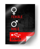 Identidad Gamer - Sae Art | Cuadro decorativo de Canvas Lab