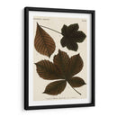 Hojas Otoñales Iii - Vision Studio | Cuadro decorativo de Canvas Lab