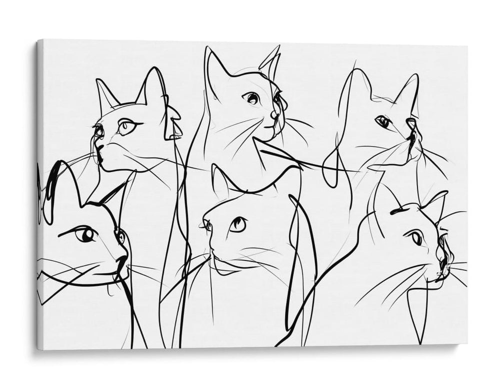 Caras de diferentes gatos - DIEGO D L | Cuadro decorativo de Canvas Lab