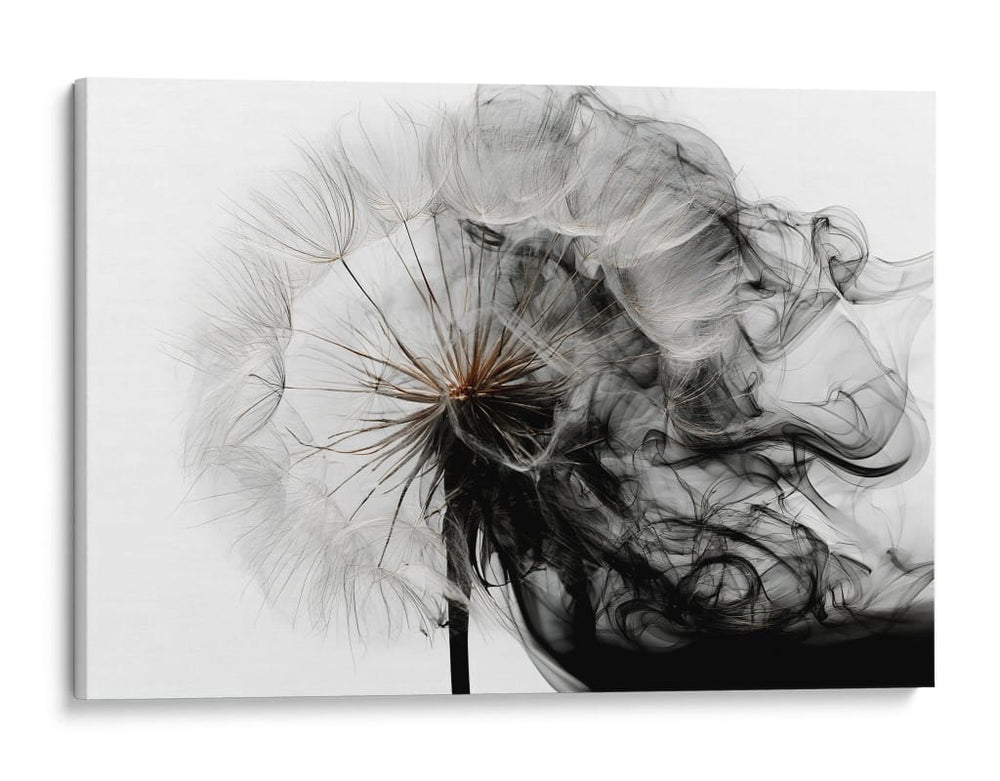 Desvaneciendo un diente de león - DIEGO D L | Cuadro decorativo de Canvas Lab