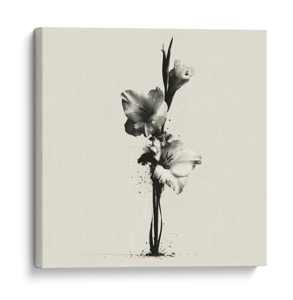 Gladiolas en blanco y negro - DIEGO D L | Cuadro decorativo de Canvas Lab
