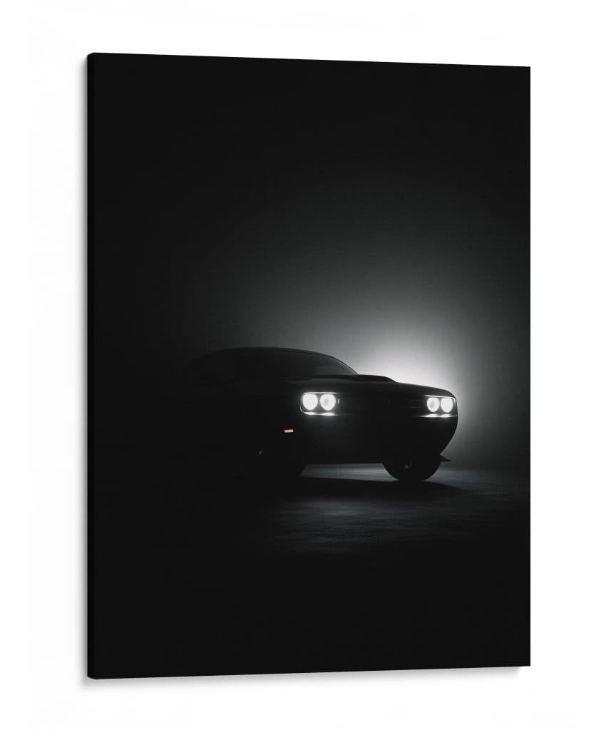 El Depredador de las Sombras - Sae Art | Cuadro decorativo de Canvas Lab