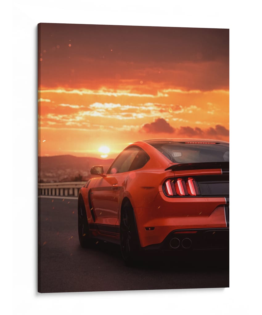Furia al Atardecer - Sae Art | Cuadro decorativo de Canvas Lab