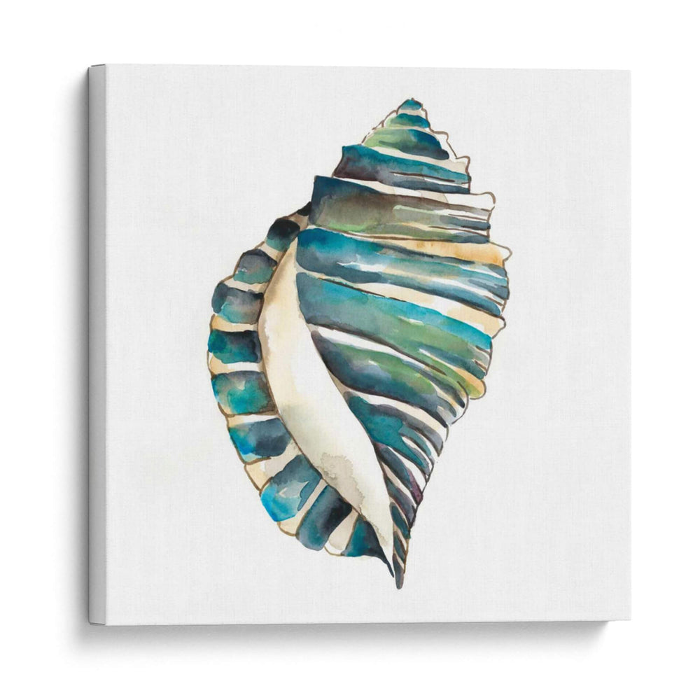 Conchas De Aquarelle I - Chariklia Zarris | Cuadro decorativo de Canvas Lab
