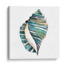 Conchas De Aquarelle I - Chariklia Zarris | Cuadro decorativo de Canvas Lab