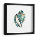 Conchas De Aquarelle I - Chariklia Zarris | Cuadro decorativo de Canvas Lab