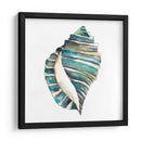 Conchas De Aquarelle I - Chariklia Zarris | Cuadro decorativo de Canvas Lab