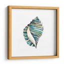 Conchas De Aquarelle I - Chariklia Zarris | Cuadro decorativo de Canvas Lab