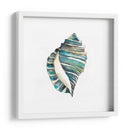 Conchas De Aquarelle I - Chariklia Zarris | Cuadro decorativo de Canvas Lab