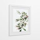 Floración - Dan Hobday | Cuadro decorativo de Canvas Lab