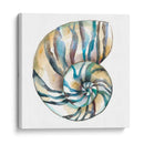 Cáscaras Aquarelle Ii - Chariklia Zarris | Cuadro decorativo de Canvas Lab