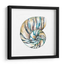 Cáscaras Aquarelle Ii - Chariklia Zarris | Cuadro decorativo de Canvas Lab