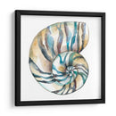 Cáscaras Aquarelle Ii - Chariklia Zarris | Cuadro decorativo de Canvas Lab