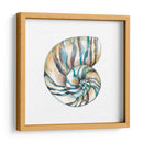 Cáscaras Aquarelle Ii - Chariklia Zarris | Cuadro decorativo de Canvas Lab