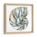 Cáscaras Aquarelle Ii - Chariklia Zarris | Cuadro decorativo de Canvas Lab