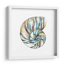 Cáscaras Aquarelle Ii - Chariklia Zarris | Cuadro decorativo de Canvas Lab